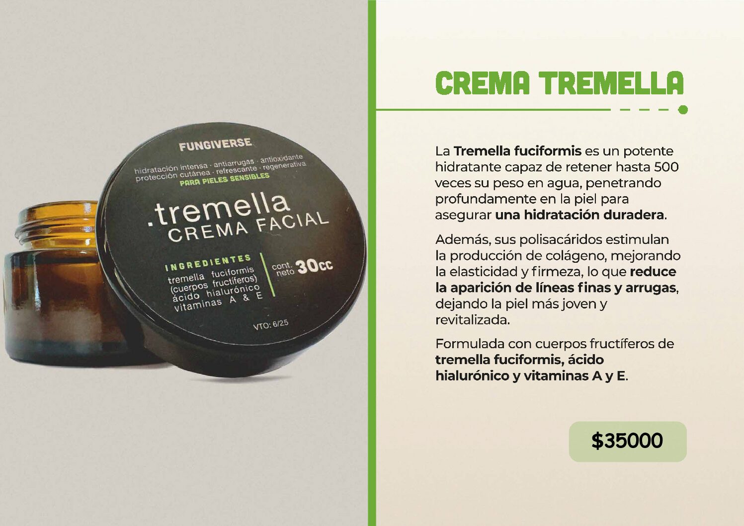 HONGOS ADAPTOGENOS - Image 13