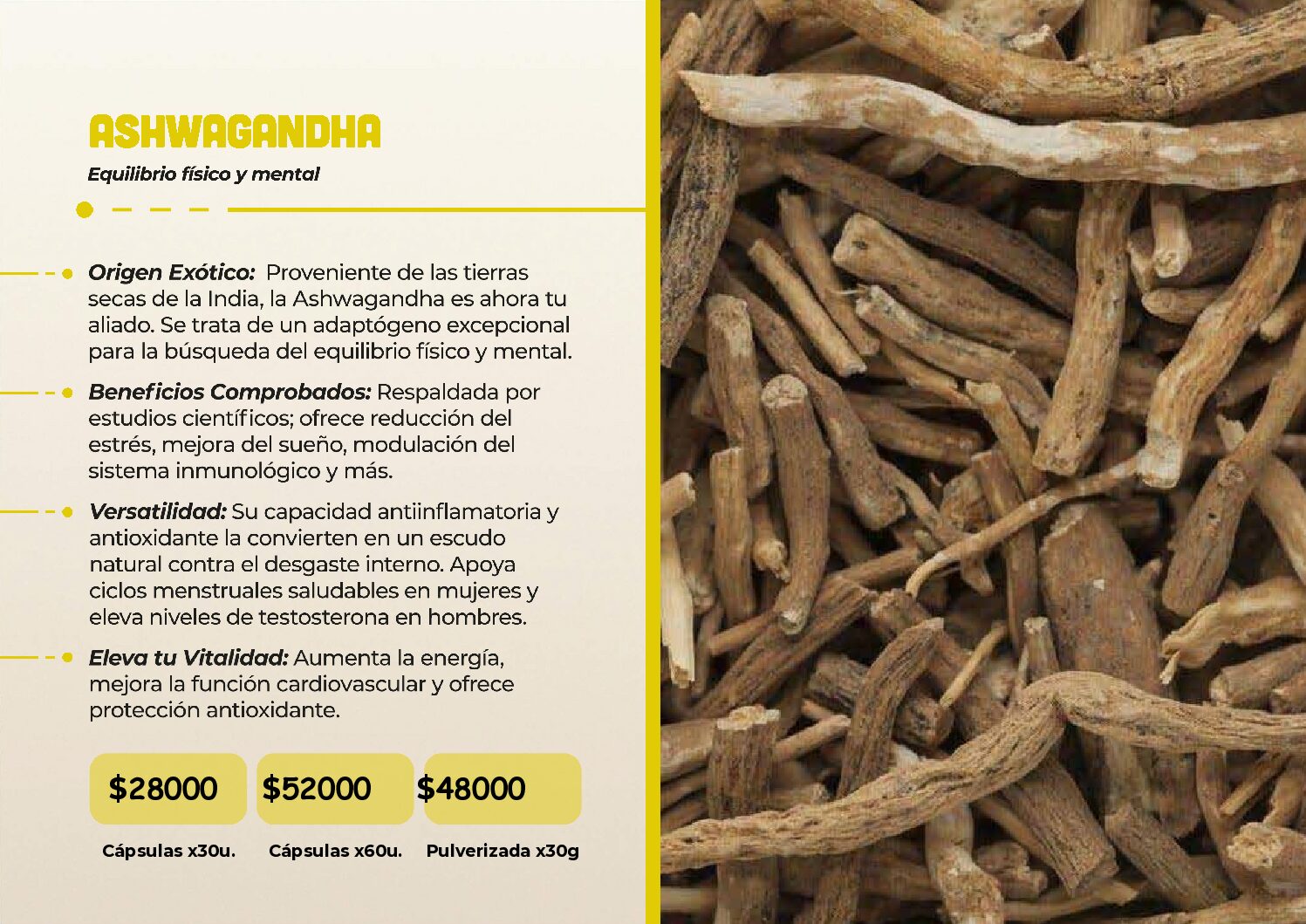 HONGOS ADAPTOGENOS - Image 18