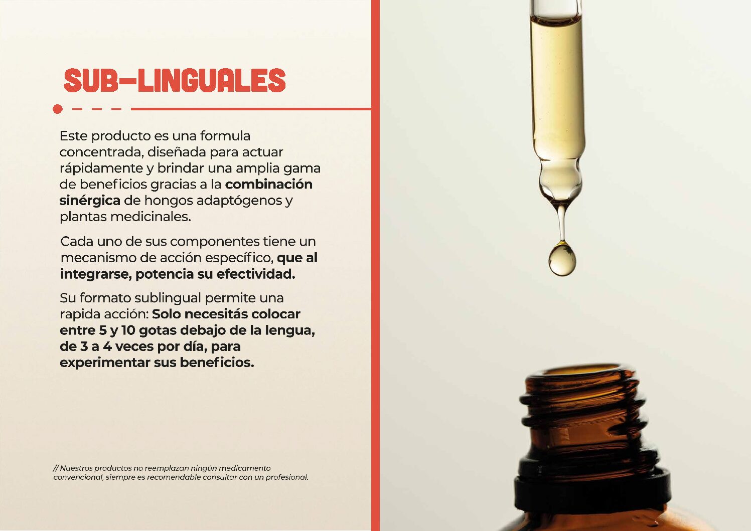 HONGOS ADAPTOGENOS - Image 23