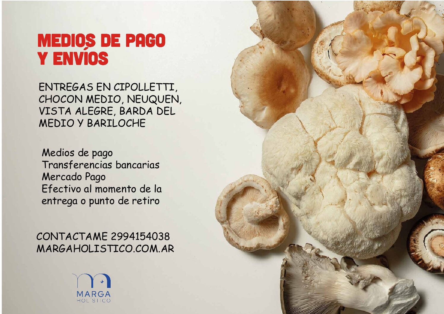 HONGOS ADAPTOGENOS - Image 27